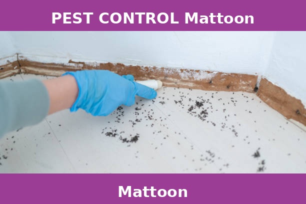 PEST CONTROL Mattoon